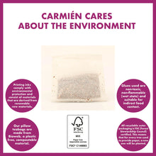 Load image into Gallery viewer, Carmién Kiddies Berry Boost Rooibos Tea (20 teabags)
