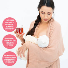 Load image into Gallery viewer, Carmién Nursing with Fenugreek &amp; Fennel Rooibos Tea (40 Teabags)
